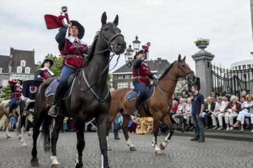 Reuzenfeest 2014